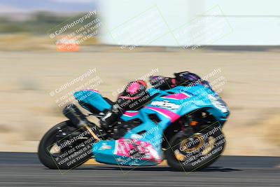 media/Jan-13-2024-SoCal Trackdays (Sat) [[9c032fe5aa]]/Turn 16 Set 2 (1120am)/